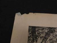 ６　5　加藤清正虎狩之図　石版　約３６×４８㎝　