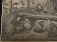 ６　5　徳川三代幼君闘鶏遊覧　彦左衛門以下扈従之図　石版　約30.5×38.5㎝　