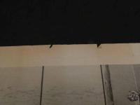 ６　5　姉妹家庭教訓之図　石版　約３４×４５㎝