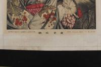 5　5　東京名妓　石版色刷　約48.5×37㎝