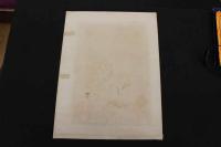 5　5　東京名妓　石版色刷　約48.5×37㎝