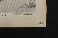 5　5　童子愛狆之図　清水市郎　石版刷　約49.5×37.5㎝