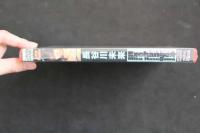 5　5　⑤グラビアアイドル　イメージDVD　長谷川未来　えくすチェンジ