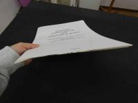 ６ 5　LILIACES LANGOUREUSES AUX PARFUM D‘ARABIE 「アラビアの香りの漂う物憂げなユリの花」イリナ・イオスネコ写真 序文アンドレピエール