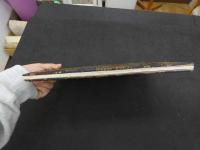 ６　5　春宮図　紙本著色　約29×20　１０図　１帖