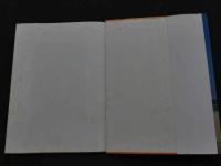 ８　８　藤本聖名子写真集　あぶない誘惑　谷口征撮影　SEXY CINDERELLA　1990年　TIS　ポスター付