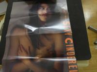 ８　８　藤本聖名子写真集　あぶない誘惑　谷口征撮影　SEXY CINDERELLA　1990年　TIS　ポスター付