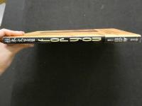 ８　5　桂木文写真集　for you　山岸伸撮影　1993年初版