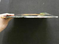 ８　5　竹下ゆかり写真集　セクシー・マーメイドをつかまえろ　前場輝夫撮影