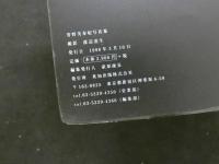 ８　5　菅野美寿紀写真集　hana　渡辺達生撮影