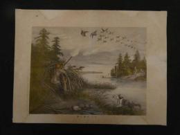 5　5　洋人銃猟之図　石版色刷　約35×47㎝