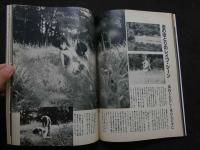 ８　のぞき専門誌　ピーピングマガジン　1988年4月号