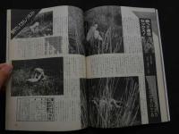 ８　のぞき専門誌　ピーピングマガジン　1988年5月号