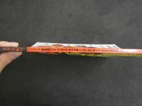 ４　美少女紀行　ウクライナ総集編MAX　永久保存版　肥沃の黒土に白い肌の美少女。かすかな密の味と桃色のヴァージン・ヌード。