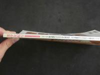 ４　美少女紀行　エストニア総集編MAX　完全永久保存版　バルト海旋風エストニアのロリータ美少女バージンヌード決定版！　