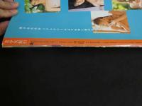 ４　美少女紀行　ハンガリー編　Vol.１２　特冊新選組８・１９増刊号