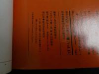 ４　美少女紀行　ハンガリー編Ⅱ　Vol.１３　特冊新選組１０・１９増刊号