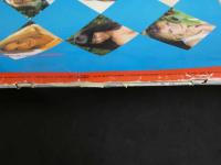 ４　美少女紀行　ハンガリー編Ⅱ　Vol.１３　特冊新選組１０・１９増刊号