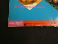 ４　美少女紀行　ハンガリー編Ⅱ　Vol.１３　特冊新選組１０・１９増刊号