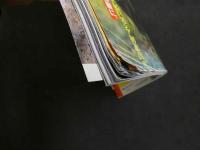 ４　③美少女紀行　ウクライナ編Ⅲ　Vol.１６　特冊新選組４・１９増刊号