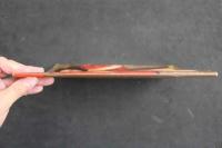 ４ 3　下着と少女　第１６集　１０人の美少女一挙に登場！　