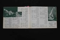 ６　5　日劇ミュージックホール　パンフレット　昭和28年7月　メリー松原　伊吹まり　奈良あけみ