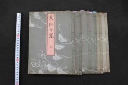６　5　光琳百図　前後編　光琳新撰百図　尾形光琳筆　細川開益堂　明治24年　6冊