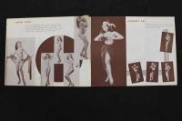 ６　5　日劇ミュージックホール　パンフレット　昭和28年2月　伊吹まり　マリー松原　R・テンプル　カレンダー付