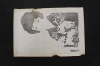 5　5　引札の下絵　約28×40㎝　17種18枚