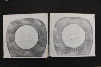 5　5　うちわの下絵　約27×28㎝　13種14枚