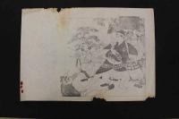 5　5　引札の下絵　約28×40㎝　5枚