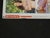 ４　美少女紀行　Vol.19　特冊新選組１１・１増刊号