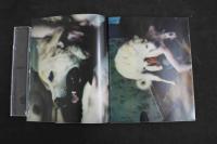 2  5　アート雑誌　Marion de Beaupre presente MARIO SORRENTI 20 octobre-15 novembre 1997