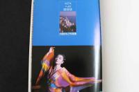 2  ８　大信田礼子写真集　ロドスへの招待状