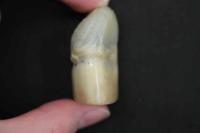 5 3　①石印材　獅子　30×18×3㎜　書道　篆刻