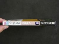 ４　マドンナメイト写真集　小林あい　