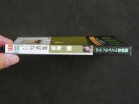 ４　マドンナメイト写真集　早見瞳