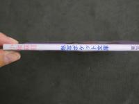 ４　小泉麻耶　熱写ポケット文庫