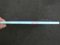 ４　美少女　早坂アキ　熱写文庫　