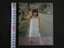 ４　少女文庫　藤井美奈子〔思い出は風にのって〕