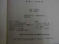 ４　ベッピン文庫　ミク・ザ・サムシング　渡瀬ミク写真集