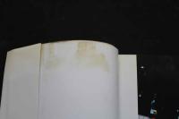 ８　美少女写真集　プリーズ　みわ　MIWA