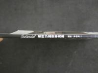 ４　星野沙里奈写真集　Sentimental