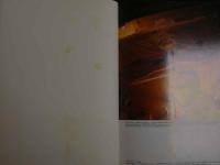 ４　沖直美　ALLORA