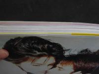 ４　アンナ　愛の日記　梅宮アンナ　羽賀研二