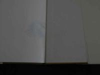 ４　COCOLO　くびれ姫