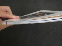 ４　浜ひとみ　さくら姫　サ・ク・ラ・ヒ・メ　