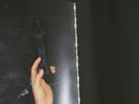 ４　甲斐智枝美　「つれてって」