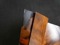 ４　甲斐智枝美　「つれてって」