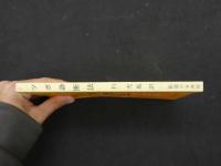 ８　5　②ツボ診断法　穴医診断法　杉充胤訳　　